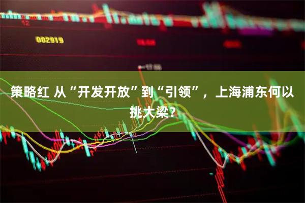 策略红 从“开发开放”到“引领”，上海浦东何以挑大梁？