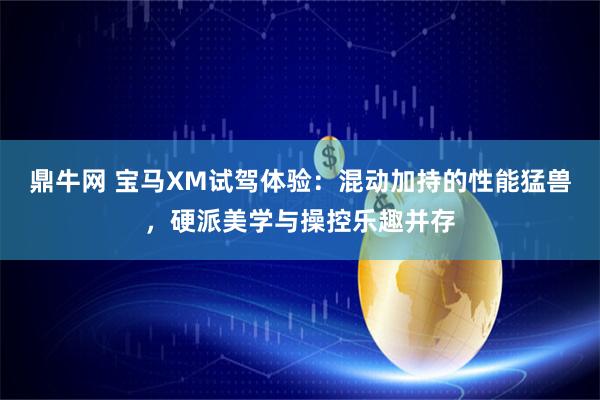 鼎牛网 宝马XM试驾体验：混动加持的性能猛兽，硬派美学与操控乐趣并存